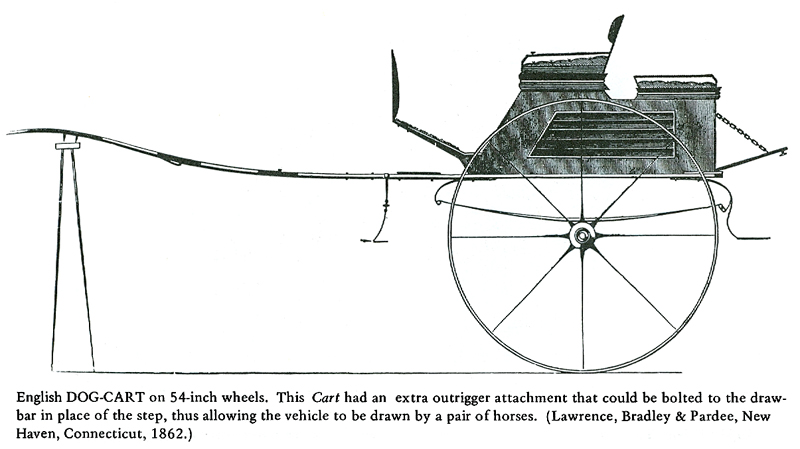 J0057 Dog-cart